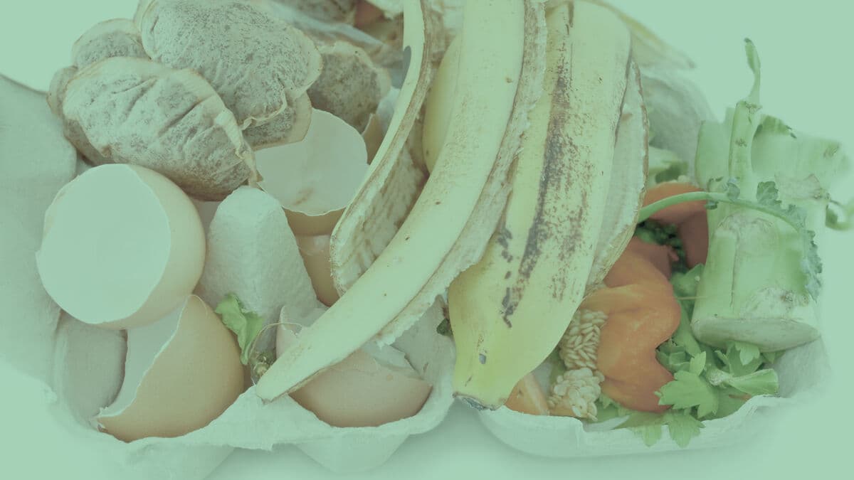 Food Waste Research